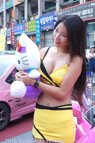 2016韩国首尔汽车沙龙 美女车模Part59